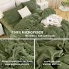 imageAndency Queen Comforter Set Black Fluffy Winter Faux Fur Warm Soft Plush Bedding Comforter Set 1 Velvet Comforter ampamp 2 Pillowcases Fuzzy Thick Heavy Puffy Comforters Bed Set06  Green