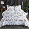 imageAndency Paisley Queen Size Comforter Set Colorful  Soft Microfiber Comforter Sets 3 Pieces 90  90Inch Elegant Vintage Paisley Bed Set