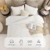 imageAndency Fluffy Sherpa King Comforter Set Super Soft Beige Fleece Warm Bedding for Winter Luxury Jacquard Boho Thick Fuzzy Plush Bed Set 3 Pieces1 Shaggy Comforter 2 PillowcasesWhite