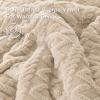 imageAndency Fluffy Sherpa King Comforter Set Super Soft Beige Fleece Warm Bedding for Winter Luxury Jacquard Boho Thick Fuzzy Plush Bed Set 3 Pieces1 Shaggy Comforter 2 PillowcasesBeige