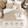 imageAndency Fluffy Sherpa King Comforter Set Super Soft Beige Fleece Warm Bedding for Winter Luxury Jacquard Boho Thick Fuzzy Plush Bed Set 3 Pieces1 Shaggy Comforter 2 PillowcasesBeige