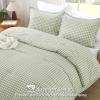 imageAndency Grey Queen Comforter Set 3 Pieces Grey White Buffalo Check Plaid Bedding Comforter ampamp Sets Light Gray Soft Lightweight Fluffy All Season Bed Set13  Gingham  Sage