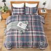 imageAndency Grey Queen Comforter Set 3 Pieces Grey White Buffalo Check Plaid Bedding Comforter ampamp Sets Light Gray Soft Lightweight Fluffy All Season Bed Set11  Plaid  Navy Red