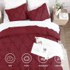 imageAndency White Queen Comforter Set90x90Inch 3 Pieces Cute Pinch Pleat Bedding Comforters ampamp Sets for Queen Bed Soft Lightweight Fluffy Down Alternative All Season Bed SetBurgundy