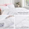 imageAndency White Queen Comforter Set90x90Inch 3 Pieces Cute Pinch Pleat Bedding Comforters ampamp Sets for Queen Bed Soft Lightweight Fluffy Down Alternative All Season Bed SetWhite