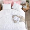 imageAndency White Queen Comforter Set90x90Inch 3 Pieces Cute Pinch Pleat Bedding Comforters ampamp Sets for Queen Bed Soft Lightweight Fluffy Down Alternative All Season Bed SetWhite