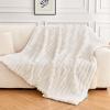 imageAndency Cream White Throw Blanket Striped Design Fleece Flannel Velvet Decorative Bed Blanket for Children Ultra Soft Cozy Warm Fluffy Plush Blankets for Bed Sofa Living Room Throw 50 x 60