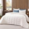 imageAndency Luxurious Velvet Quilts Oversized Queen 3Piece Herringbone Matelasse Bedspread Quilt Set Lightweight All Season Soft Coverlet Set with 2 Shams Cream WhiteCream
