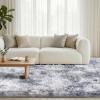 imageAndency Cream Soft Area Rugs for Living Room Bedroom 4x6 Fluffy Shaggy Bedside Rug NonSlip Large Shag Fuzzy Plush Carpets for Bedroom Kids Dorm Nursery Home Decor AestheticTiedyed Light Grey
