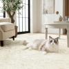 imageAndency Cream Soft Area Rugs for Living Room Bedroom 4x6 Fluffy Shaggy Bedside Rug NonSlip Large Shag Fuzzy Plush Carpets for Bedroom Kids Dorm Nursery Home Decor AestheticCream