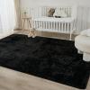imageAndency Cream Soft Area Rugs for Living Room Bedroom 4x6 Fluffy Shaggy Bedside Rug NonSlip Large Shag Fuzzy Plush Carpets for Bedroom Kids Dorm Nursery Home Decor AestheticBlack