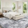 imageAndency Cream Soft Area Rugs for Living Room Bedroom 4x6 Fluffy Shaggy Bedside Rug NonSlip Large Shag Fuzzy Plush Carpets for Bedroom Kids Dorm Nursery Home Decor AestheticTiedyed Light Grey