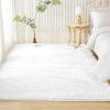 imageAndency Cream Soft Area Rugs for Living Room Bedroom 4x6 Fluffy Shaggy Bedside Rug NonSlip Large Shag Fuzzy Plush Carpets for Bedroom Kids Dorm Nursery Home Decor AestheticWhite
