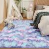 imageAndency Cream Soft Area Rugs for Living Room Bedroom 4x6 Fluffy Shaggy Bedside Rug NonSlip Large Shag Fuzzy Plush Carpets for Bedroom Kids Dorm Nursery Home Decor AestheticTiedyed Rainbow2