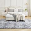 imageAndency Cream Soft Area Rugs for Living Room Bedroom 4x6 Fluffy Shaggy Bedside Rug NonSlip Large Shag Fuzzy Plush Carpets for Bedroom Kids Dorm Nursery Home Decor AestheticTiedyed Light Grey