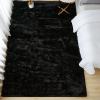 imageAndency Cream Soft Area Rugs for Living Room Bedroom 4x6 Fluffy Shaggy Bedside Rug NonSlip Large Shag Fuzzy Plush Carpets for Bedroom Kids Dorm Nursery Home Decor AestheticBlack