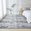 imageAndency Cream Soft Area Rugs for Living Room Bedroom 4x6 Fluffy Shaggy Bedside Rug NonSlip Large Shag Fuzzy Plush Carpets for Bedroom Kids Dorm Nursery Home Decor AestheticTiedyed Light Grey