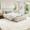 imageAndency Cream Soft Area Rugs for Living Room Bedroom 4x6 Fluffy Shaggy Bedside Rug NonSlip Large Shag Fuzzy Plush Carpets for Bedroom Kids Dorm Nursery Home Decor AestheticCream