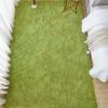 imageAndency Cream Soft Area Rugs for Living Room Bedroom 4x6 Fluffy Shaggy Bedside Rug NonSlip Large Shag Fuzzy Plush Carpets for Bedroom Kids Dorm Nursery Home Decor AestheticGrass Green