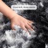 imageAndency Cream Soft Area Rugs for Living Room Bedroom 4x6 Fluffy Shaggy Bedside Rug NonSlip Large Shag Fuzzy Plush Carpets for Bedroom Kids Dorm Nursery Home Decor AestheticTiedyed Black