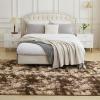 imageAndency Cream Soft Area Rugs for Living Room Bedroom 4x6 Fluffy Shaggy Bedside Rug NonSlip Large Shag Fuzzy Plush Carpets for Bedroom Kids Dorm Nursery Home Decor AestheticTiedyed Brown