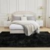 imageAndency Cream Soft Area Rugs for Living Room Bedroom 4x6 Fluffy Shaggy Bedside Rug NonSlip Large Shag Fuzzy Plush Carpets for Bedroom Kids Dorm Nursery Home Decor AestheticBlack