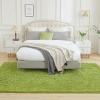 imageAndency Cream Soft Area Rugs for Living Room Bedroom 4x6 Fluffy Shaggy Bedside Rug NonSlip Large Shag Fuzzy Plush Carpets for Bedroom Kids Dorm Nursery Home Decor AestheticGrass Green