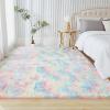 imageAndency Cream Soft Area Rugs for Living Room Bedroom 4x6 Fluffy Shaggy Bedside Rug NonSlip Large Shag Fuzzy Plush Carpets for Bedroom Kids Dorm Nursery Home Decor AestheticRainbow