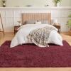 imageAndency Cream Soft Area Rugs for Living Room Bedroom 4x6 Fluffy Shaggy Bedside Rug NonSlip Large Shag Fuzzy Plush Carpets for Bedroom Kids Dorm Nursery Home Decor AestheticBurgundy