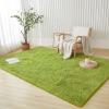 imageAndency Cream Soft Area Rugs for Living Room Bedroom 4x6 Fluffy Shaggy Bedside Rug NonSlip Large Shag Fuzzy Plush Carpets for Bedroom Kids Dorm Nursery Home Decor AestheticGrass Green