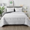 imageAndency Black Oversized Super King Plus Quilt Set 3 Pieces Boho Lightweight Soft Striped Bedspread for All Season 128x120 Printed Bohemian Polyester Reversible Coverlet Comforter Sets06  Black White