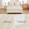imageAndency King Size Comforter Set 7 Pieces Ivory  Bed in a Bag King Boho Lightweight Fluffy Tufted Bedding Sets with Quilt Comforter Sheets Pillowcases amp ShamsBeige