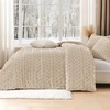 image:imageAndency Fluffy Comforter Set Queen Size Black Sherpa Fleece Super Soft Warm Bedding for Winter Luxury Boho Jacquard Thick Fuzzy Plush Bed Set 3 Pieces1 Shaggy Comforter 2 PillowcasesBeige