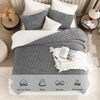 image:imageAndency Fluffy Comforter Set Queen Size Black Sherpa Fleece Super Soft Warm Bedding for Winter Luxury Boho Jacquard Thick Fuzzy Plush Bed Set 3 Pieces1 Shaggy Comforter 2 PillowcasesGrey
