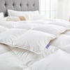 image:imageAndency Queen Size Feather and Down Fiber Comforter Insert All Season Fluffy Soft Cotton Duvet Insert Hotel Luxury Bedding for Bedroom White 90x90 Inch