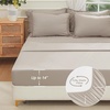 image:imageAndency Oversized King Comforter Set with Sheets 128x120 Terracotta  7 Pieces Bed in a Bag Boho Soft Lightweight Bedding Sets Tassel Bed Set with Comforter Sheets Pillowcases amp Shams07  Wheat