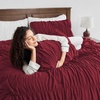 image:imageAndency Ruched Burgundy Queen Size Comforter Set Shabby Chic Pleated Bedding Sets 3 Pieces Lightweight Soft Boho Ruffle Bed Set for Girls Kids Women All SeasonBurgundy