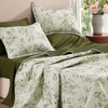 image:imageAndency Quilt King Size Black Flower Bedspread King Size 3 Pieces Soft Bedding Set Lightweight Coverlet Set for All Season with 2 Pillowcases 106x96White  Green