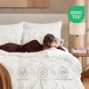 image:imageAndency TwinXL Pinch Pleat Comforter Set 68x923 Piece Lightweight Pintuck Bedding Comforters amp Sets Fluffy Down Alternative Comforter with 2 Pillow Shams for All SeasonWhiteIvory