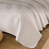 image:image100 Cotton Queen Beige Quilt 3 Piece Striped Quilted Bedding  Soft Lightweight Bedspreads Coverlets Set with 2 Pillow Shams All Season Use Soild Bedding for Bedroom Guest Room 90x96Stripebeige