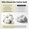 image:image100 Cotton Queen Beige Quilt 3 Piece Striped Quilted Bedding  Soft Lightweight Bedspreads Coverlets Set with 2 Pillow Shams All Season Use Soild Bedding for Bedroom Guest Room 90x96Widstitchoatmeal