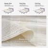 image:image100 Cotton Queen Beige Quilt 3 Piece Striped Quilted Bedding  Soft Lightweight Bedspreads Coverlets Set with 2 Pillow Shams All Season Use Soild Bedding for Bedroom Guest Room 90x96Widstitchivory