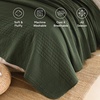image:image100 Cotton Queen Beige Quilt 3 Piece Striped Quilted Bedding  Soft Lightweight Bedspreads Coverlets Set with 2 Pillow Shams All Season Use Soild Bedding for Bedroom Guest Room 90x96Widstitcharmy Green